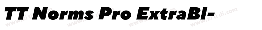 TT Norms Pro ExtraBl字体转换